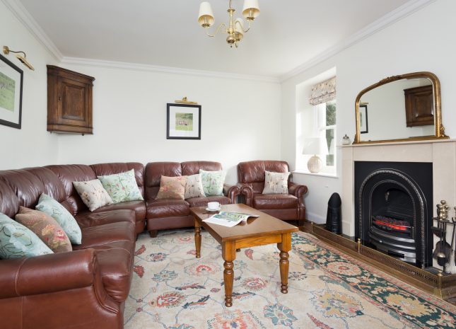 Living room with gas fire and enough space for the whole family.