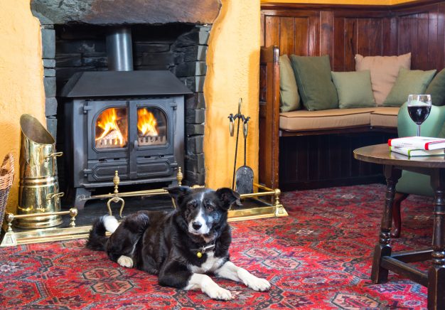 Dogs are welcome in the King's Head, Thirlmere (short drive from Keswick)