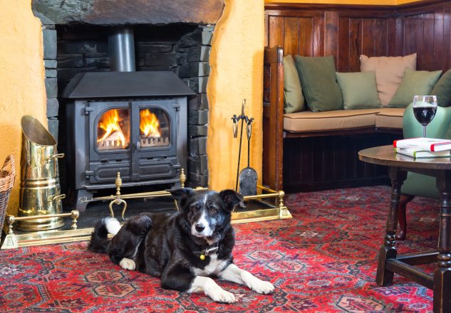 Dogs are welcome in the King's Head, Thirlmere (short drive from Keswick)