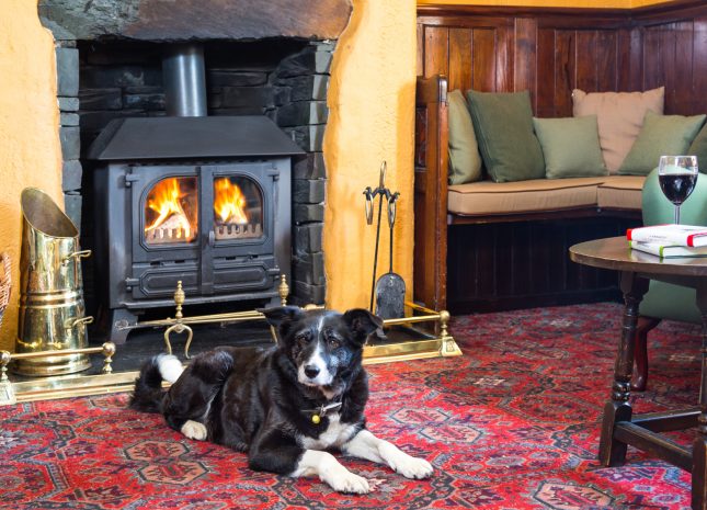 Dogs are welcome in the King's Head, Thirlmere (short drive from Keswick)