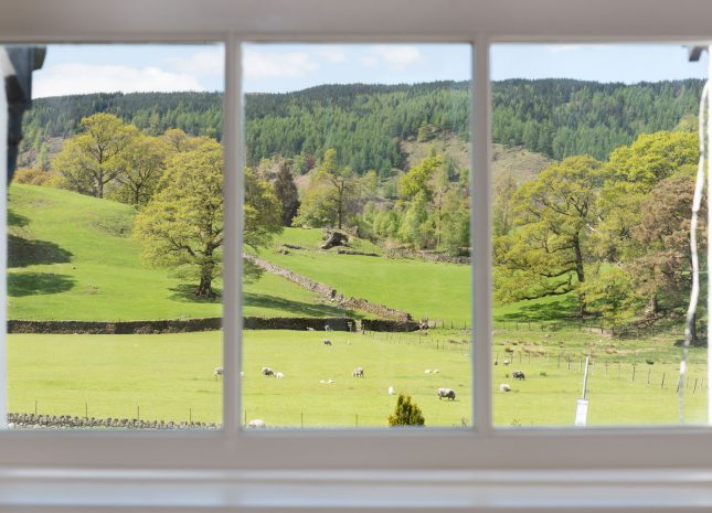 Front view from our rooms