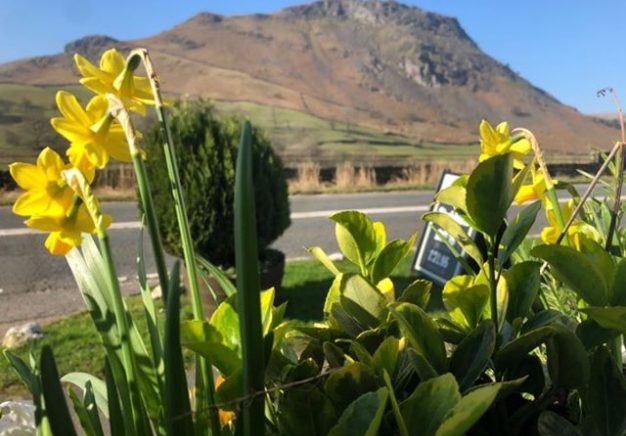 Daffs Helm Cragg